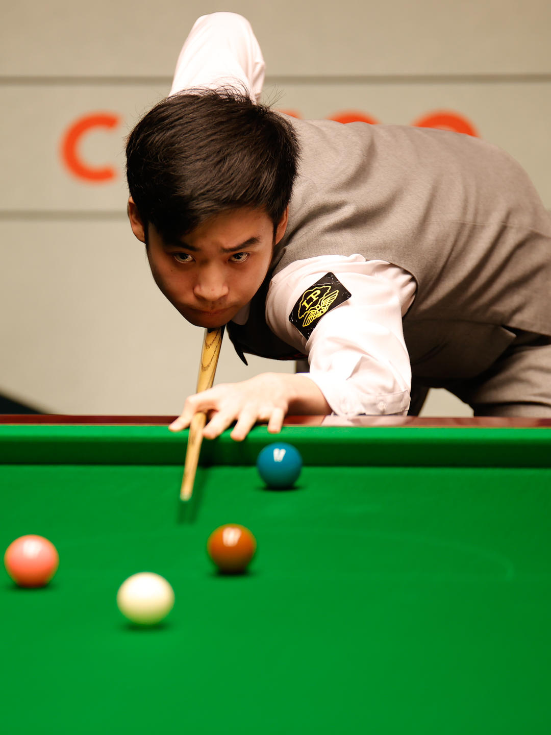 了他们在法 了他们在法